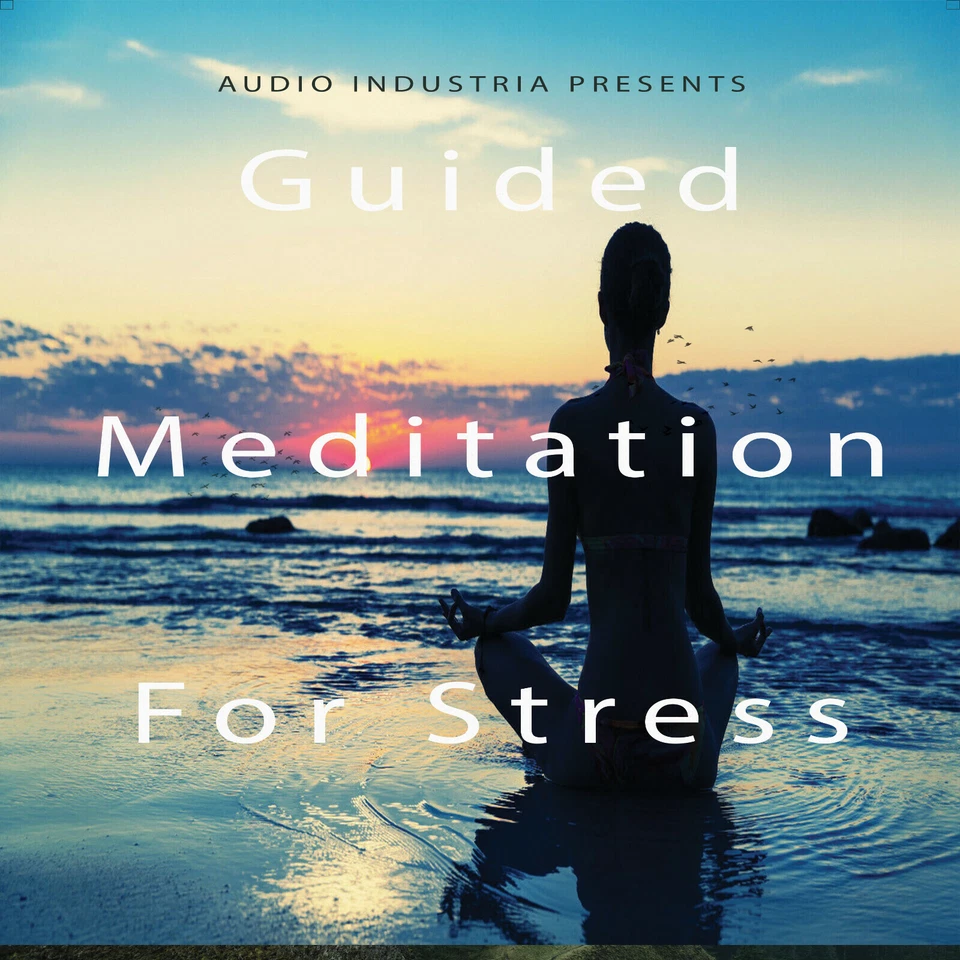 Guided Meditation Relaxation Session CD Stress Relief Sleep Aid Heal Calm Foto 1 de 1