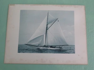 Antique 1890's Photo Print Yacht Mischief NYYC America’s Cup A. Cary Smith - Picture 1 of 15