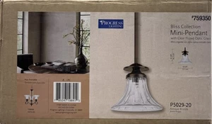 Progress Lighting Bliss Collection Mini-Pendant With Optic Glass P5029-20 {99} - Picture 1 of 12
