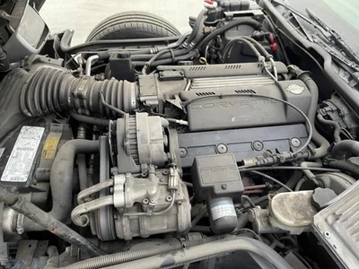 ¡Corbeta 96 usada 134k! Liftout V8 LT1 con 4L60 PROYECTO/VIDEO HOTROD Enviado 30251 Foto 1 de 4