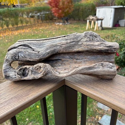 Hardwood Driftwood 13x5x6 – Dense Natural Wood with Small Hollow and Grain - Image 1 of 4