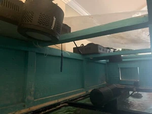 Salt Water Aquarium Bundle negotiable - Picture 1 of 4