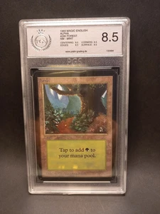 Magic Alpha MTG Forest Wald PGS 8,5 NearMint-Mint #295 the Gathering - Picture 1 of 1