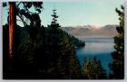 Nevada Lake Tahoe Sierra California Line North Shore Lakefront Forest Postcard