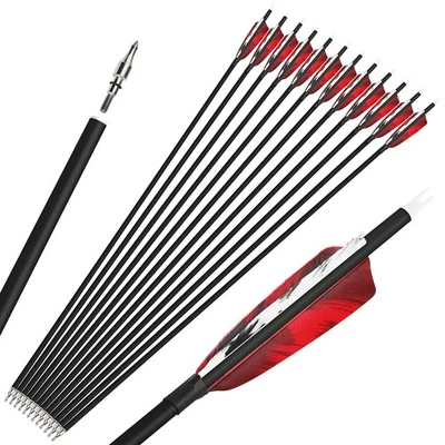 28" 30'' 31" Archery Carbon Arrows SP500 4" Turkey Feathers Bow Hunting Target - Image 1 of 4