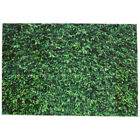  Zielona roślina tło tkanina wiosenna zieleń trawnik impreza tło zdjęcie ślubne