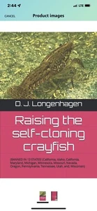 Raising The Self-cloning Crayfish - Picture 1 of 2