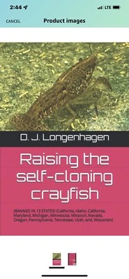 Raising The Self-cloning Crayfish - Image 1 of 2