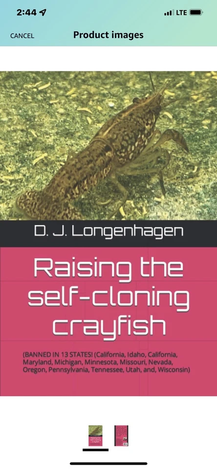 Raising The Self-cloning Crayfish - Image 1 of 2