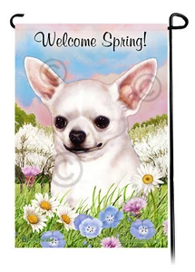 Welcome Spring Garden Flag - White Shorthair Chihuahua - Picture 1 of 1