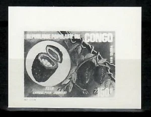 Photo Essay, Congo Sc732 Edible Fruit, Landolphia jumelei. - Picture 1 of 1