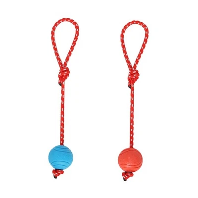  Beißwurst Für Hunde Beschäftigung Spielzeug Welpen Kauen Hundekauspielzeug - Bild 1 von 4