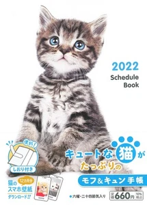Spielplanbuch 2022 Kat_ - Bild 1 von 1