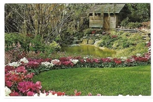 VTG Postcard - Winter in the South, Cabin, Milwaukee, Wisconsin - Picture 1 of 2