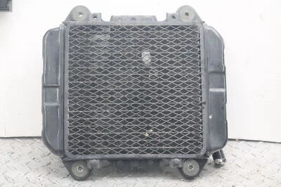 98-07 KAWASAKI NINJA 250R MOTOR RADIADOR MOTOR ENFRIADOR RADIADOR DE REFRIGERACIÓN OEM Foto 1 de 4