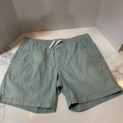 Plugg Unleashed Since 1983 Men’s Size L (36) Shorts Mint Green Stretch - Image 1 of 4