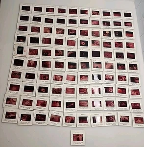100 Apollo Moon Landing Slides Finley Holiday Films Missions 8, 9, 12, 13, 14 - Foto 1 di 11