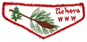 S2 Tichora Lodge 146 Flap Four Lakes Council Patch Pfadfinder BSA OA Wisconsin - Bild 1 von 2