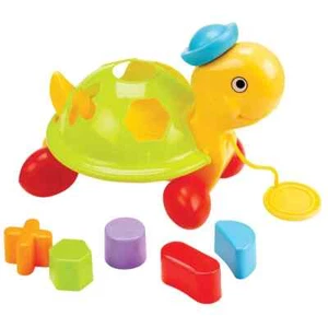 Formsortierschildkröte - Bild 1 von 3