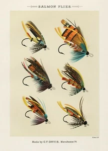 Print or Canvas - Salmon Flies  by Mary Orvis - Picture 1 of 1