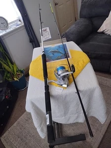 Spinning Fishing Rod CCCR 1002 10' ML 4-12lb And Reel Daiwa - Picture 1 of 15