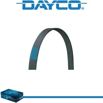 Dayco Poly Rib Serpentine Belt for DODGE RAM 3500 VAN 1999-2002 V8-5.2L - Image 1 of 4