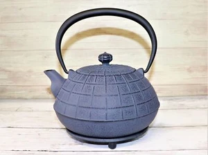 Tetsubin Nanbu Tetera de Hierro Fundido Kyusu 1100 ml Patrón de Hilo Japón - Imagen 1 de 6