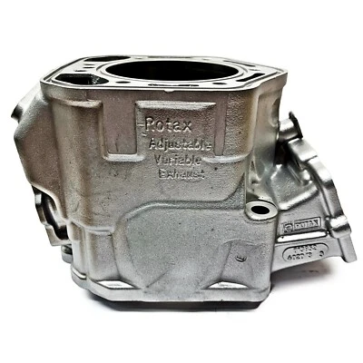 Buen cilindro usado plateado Ski-Doo 800 HO 2003-2007 MXZ GTX GSX LTD PTEK 2 Foto 1 de 4