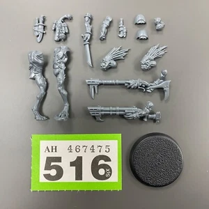 KROOT LONG-QUILL CARNIVORE #1 CARNIVORES SQUAD HUNTING PACK TAU EMPIRE WARHAMMER - Picture 1 of 1