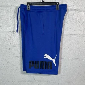 PUMA Men's Big Fleece Logo Shorts blue medium - Picture 1 of 5