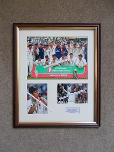 CRICKET COLLAGE OF THE ASHES 2005 FRAMED - Picture 1 of 1