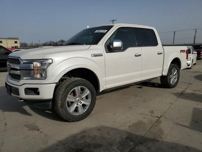 (LOCAL PICKUP ONLY) Driver Fender With Wheel Lip Moulding Fits 15-20 FORD F150 P Foto 1 de 4