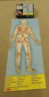 Melissa & Doug menschliche Anatomie BODENPUZZLE 100-teiliges Lernpuzzle groß 4 Fuß