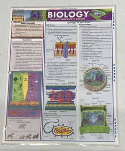 Biologie Schnellstudium laminierte akademische Gliederung Balkendiagramme - Bild 1 von 3
