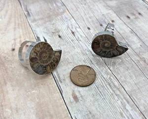 Adjustable Ammonite Fossil Ring Raw Ammonite Snail Shell  Fossil Silver Band - Picture 1 of 4