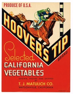 ETIQUETA DE CAJA ORIGINAL DE COLECCIÓN 7x9 C1940S Hoovers Tip caballo de carreras Watsonville - Imagen 1 de 1