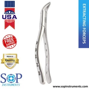 Dental Extracting Forceps MD2 Stainless Steel Tooth Extraction Instrument - Picture 1 of 3
