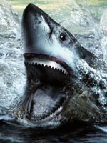 Stück Holz Bandsägeblatt Bi Metall M42, 1810mm Metabo Elektra Swift BAS HBS - Bild 1 von 1