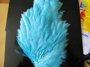 Silla de montar genética gallina doctor capas azules plumas hachas - Imagen 1 de 1