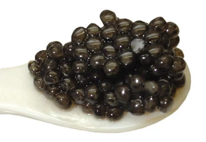500g (1Kg/790 €) Osietra Baerii Kaviar Malossol Aquakultur + 2 Perlmutt-Löffel - Bild 1 von 2