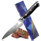 Steak Knife Japanese Damascus Steel Vg10 Core G10 Handle Serrated Beef Slicing S