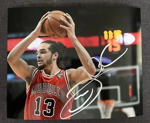 Joakim Noah Signed 8x10 Chicago Bulls Autograph Photo - Picture 1 of 1