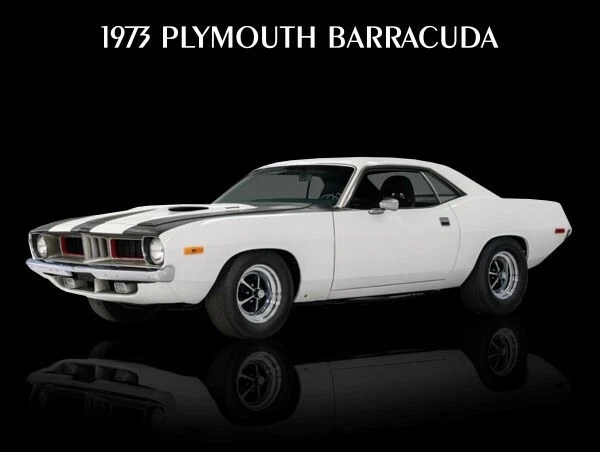 Letrero Plymouth Barracuda 1973 en metal blanco y negro: 9x12" y envío gratuito Foto 1 de 1