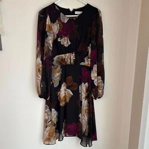 Calvin Klein Women Floral-Print Balloon long sleeve sheer Shift Dress 2 EUC - Picture 1 of 12