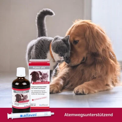 Pulmo alfa Hustensaft Erkältung Husten Abwehrkräfte Atemwege Hund Katze - Bild 1 von 3