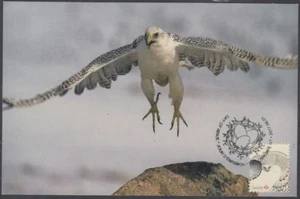 CANADÁ #3017b - El GYRFALCON en una EXCELENTE TARJETA MÁXIMA - Imagen 1 de 1