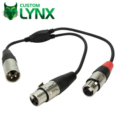 Rean Neutrik cavo splitter stereo XLR. 3 pin maschio XLR a 2 x femmina XLR. 25 cm