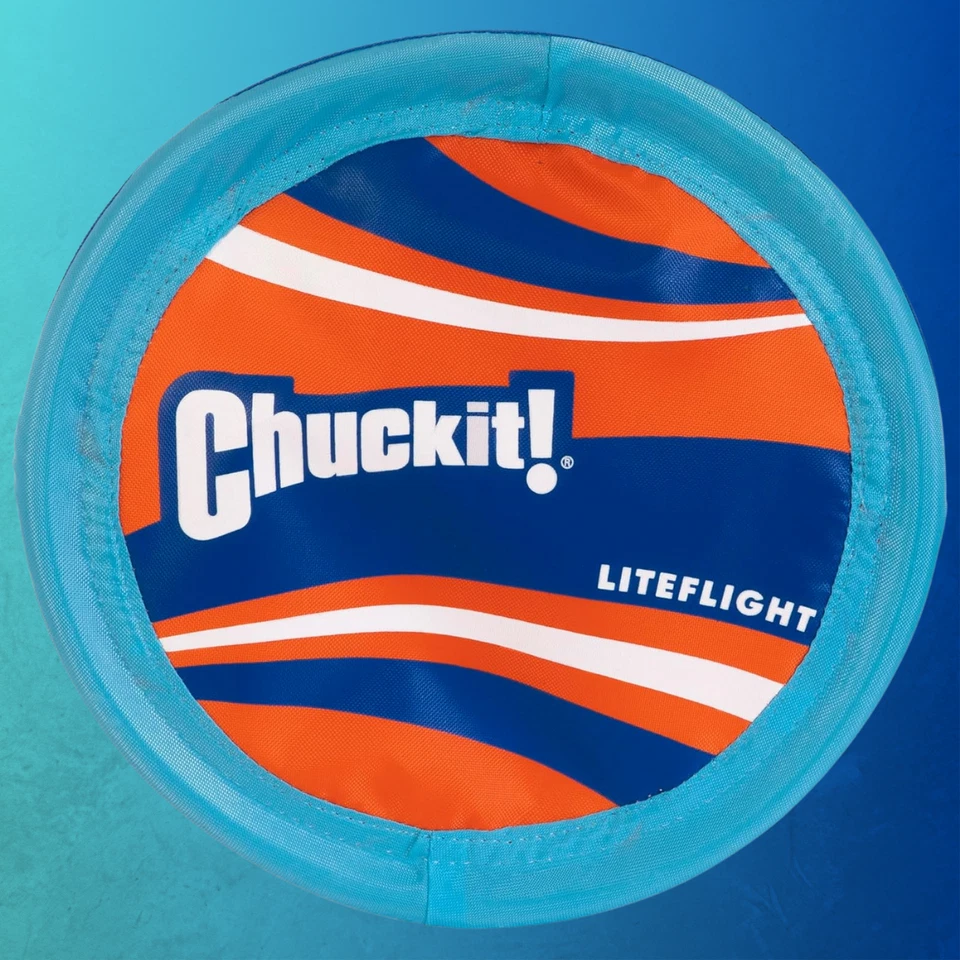 Chuckit! Disco volador Light Flight de 10 pulgadas para perros Foto 1 de 4