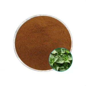 100g~500g Nettle Root Extract Powder 30:1 Chinese Herbs - Picture 1 of 1