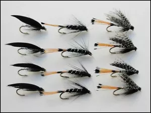 Moscas trucha húmeda, paquete de 12, pincel negro, Peter Ross, urraca y plata, talla 10/12 - Imagen 1 de 4